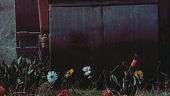 BG