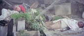 BG