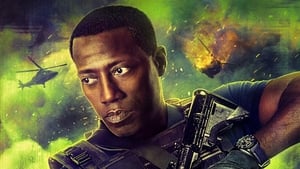 BG