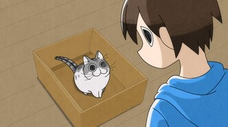 BG