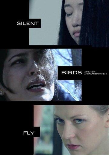 Silent Birds Fly