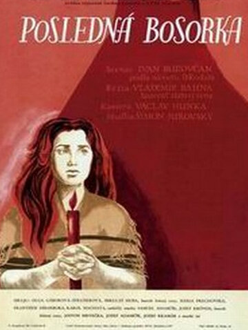 Постер «Posledná bosorka»
