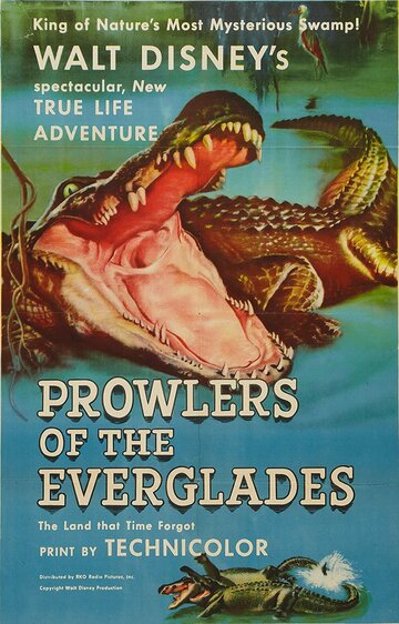 Постер «Prowlers of the Everglades»
