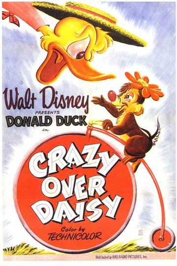 Постер «Crazy Over Daisy»