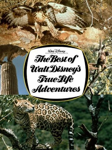 Постер «The Best of Walt Disney's True-Life Adventures»