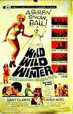 Постер «Wild Wild Winter»