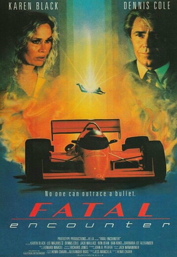 Постер «Fatal Encounter»