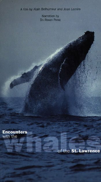 Rencontres avec les baleines du Saint-Laurent