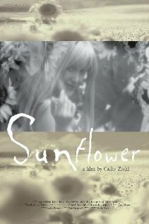 Постер «Sunflower»