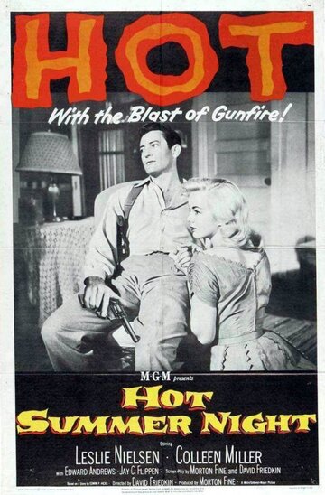 Постер «Hot Summer Night»