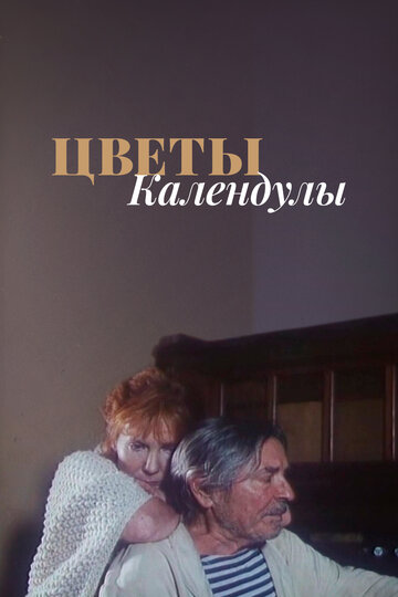Постер «Цветы календулы»