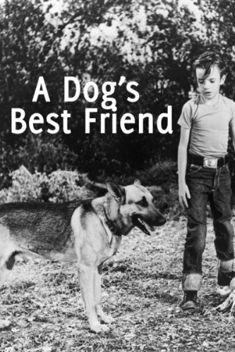 Постер «A Dog's Best Friend»