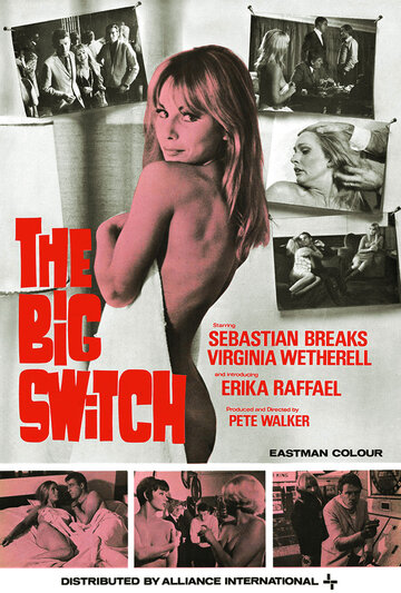 Постер «The Big Switch»