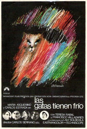 Постер «Las gatas tienen frío»