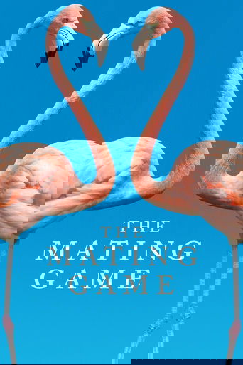 BBC. Брачная Игра