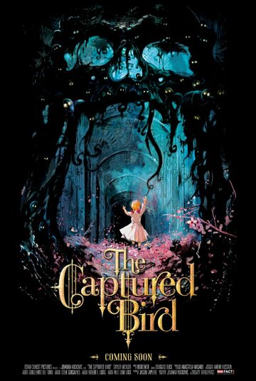 Постер «The Captured Bird»
