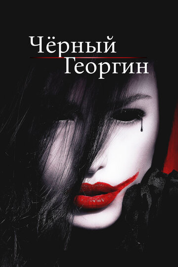 Черный георгин