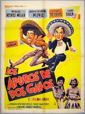 Постер «Los apuros de dos gallos»