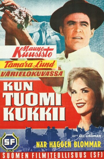 Постер «Kun tuomi kukkii»