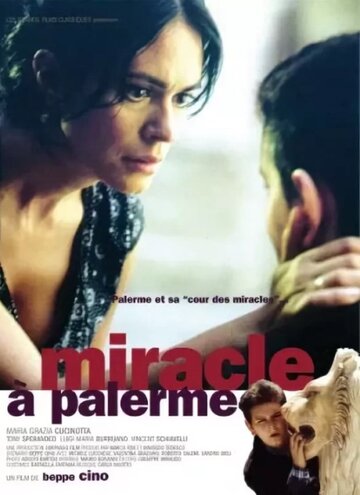 Постер «Miracolo a Palermo!»
