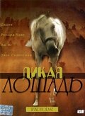 Постер «Дикая лошадь»