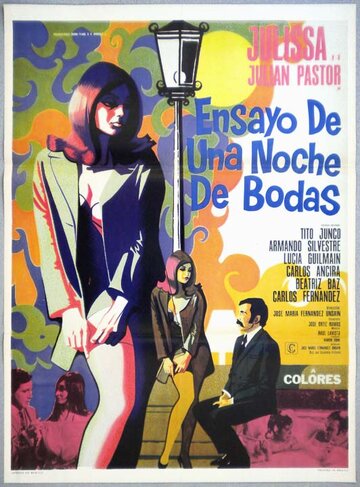 Постер «Ensayo de una noche de bodas»