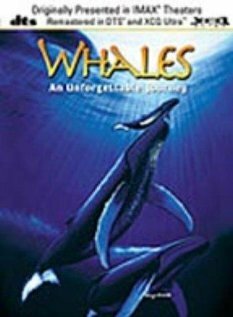 Постер «Whales: An Unforgettable Journey»