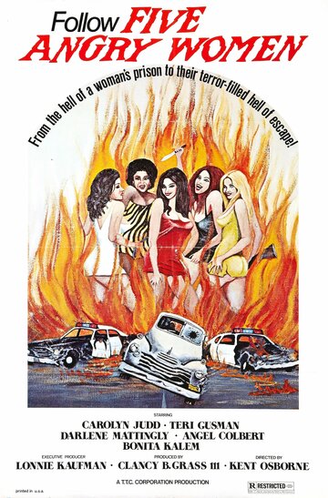 Постер «Women Unchained»