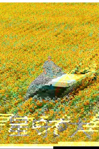 Пёс, смотрящий на звезды