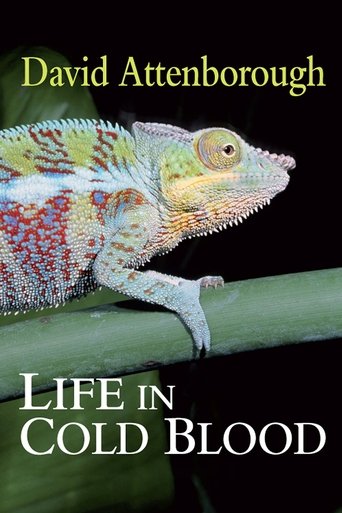 BBC: Жизнь с холодной кровью