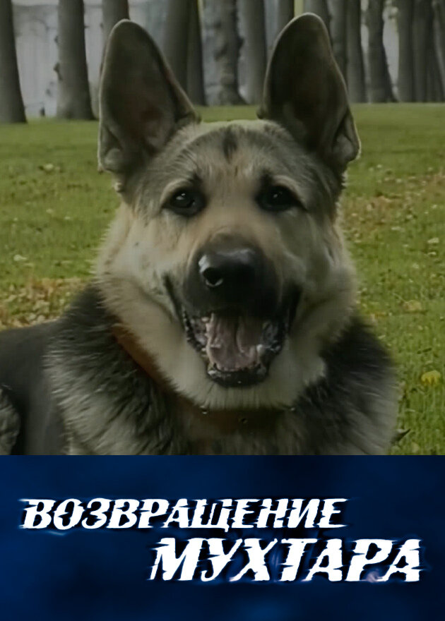 BG