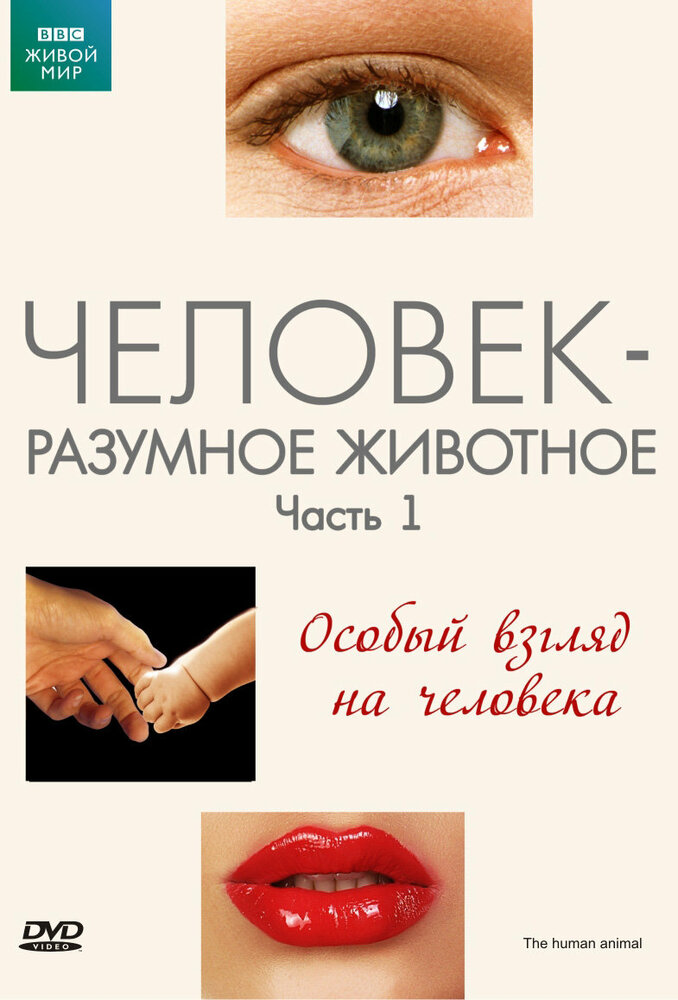 BG