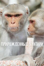 Прирождённые бунтари
