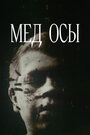 Мед осы