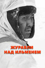 Журавли над Ильменем