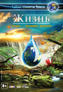 Жизнь: Вода – основа жизни