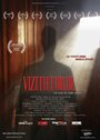 The Visitor