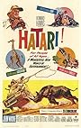 Хатари!