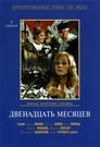 Двенадцать месяцев