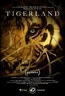 Animal Planet: Спасти тигра