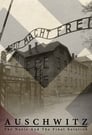 Аушвиц: Взгляд на нацизм изнутри